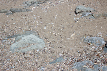 Rocks boulders on beach shore sand grey gray sedimentary detail abstract