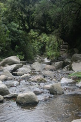 Naklejka na ściany i meble Taxopamba stream Otavalo Ecuador