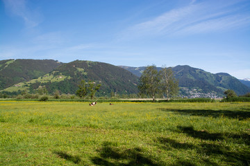 Obraz premium Zell am See, Salzburg, Österreich