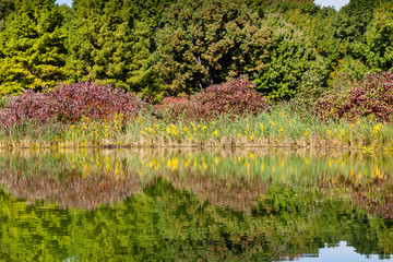 Turtle Pond Reflections.  The view across Turtle Pond in Central Park, New York City in the United States of America on a still autumn morning.