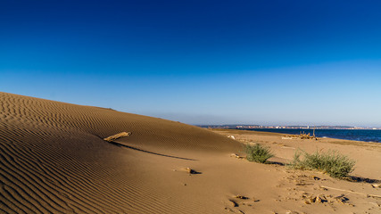 sand dunes at a beach