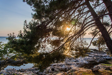 Adria bei Savudrija, Istiren, Kroatien