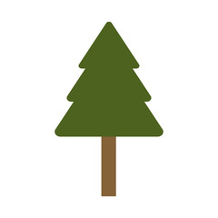 Fototapeta premium Tree pine isolated