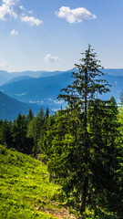 Smartphone HD wallpaper of beautiful alpine view at the Jenner - Berchtesgaden - Bavaria