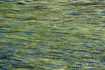 abstract water background