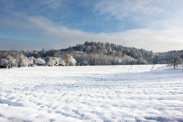  Bäume in Winterlandschaft mit Schnee