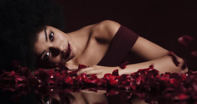 portrait beautiful african american woman with afro red rose petals blowing sensual female looking seductive dreaming of intimate fantasy romance indulging desire in valentines day concept