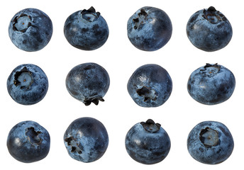Fresh blueberry isolated on white background with clipping path