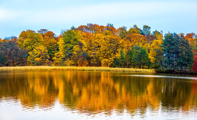 Beautiful autumn landscape with yellow trees and sun. Colorful foliage in the park. Falling leaves natural background .Autumn season concept
