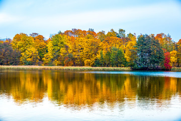 Beautiful autumn landscape with yellow trees and sun. Colorful foliage in the park. Falling leaves natural background .Autumn season concept