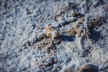 Vibrant view of Badwater basin, endorheic basin in Death Valley National Park, Death Valley, Inyo County California, USA