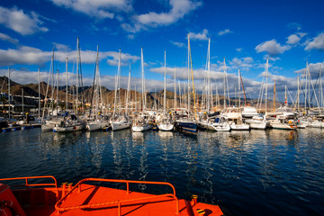 In the port of Santa Cruz - the capital of Tenerife.