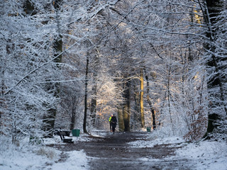 OLYMPUS DIGITAL CAMERA © Robert