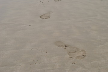 sand, beach, footprint, footprints, foot, sea, summer, snow, nature, water, track, walk, walking, footstep, ocean, feet, vacation, winter, tracks, coast, desert, travel, footsteps, steps, print