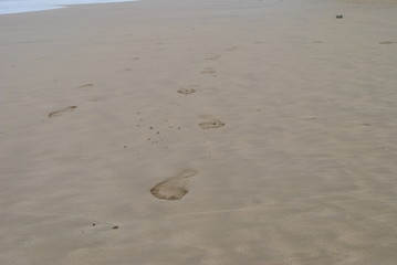 sand, beach, footprint, sea, footprints, foot, ocean, coast, summer, water, walk, nature, vacation, walking, footsteps, travel, footstep, shore, wave, holiday, step, barefoot, track, sandy, tropical