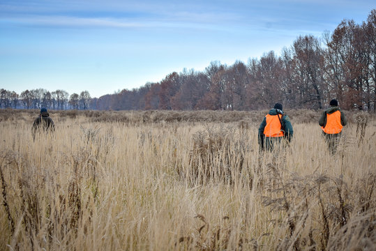 A process of hunting during hunting season, process of partidge hunting, two hunters in signal cloth in field.