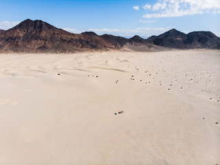 Fototapeta na wymiar View of Mojave Desert panorama, an arid rain-shadow desert and the driest desert in North America, California, United States of America