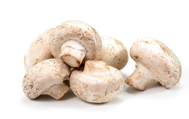 mushrooms on a white background
