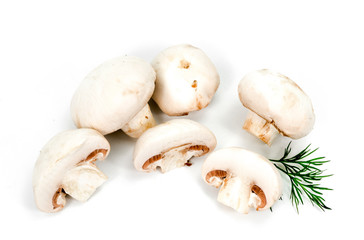 white mushrooms and greens on a white background