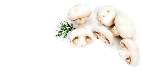 white mushrooms and greens on a white background