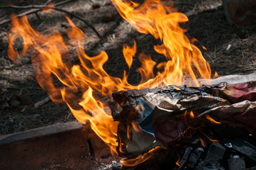 Close up of open flame of campfire, burning timber fire