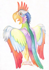 Pencil drawing. Illustration for children. Image of animals with colored pencils. Bright pompous parrot, flapping his wings.