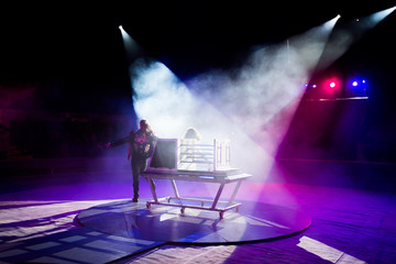 magician performances in the circus