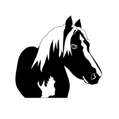 Silhouette beautiful Arabian horse. black and white