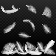 Realistic white vector bird twirled feathers falling on black transparent alpha background.
