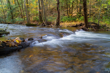 Rolling Mountain Stream Autumn In Pennsylvania