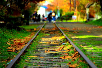 小樽、旧手宮線跡地の散歩道の風景