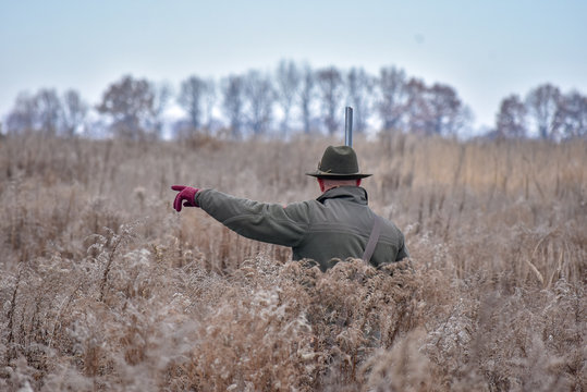 The bird hunter walks across the field with his dog on a partridge hunt and shows her where to go.