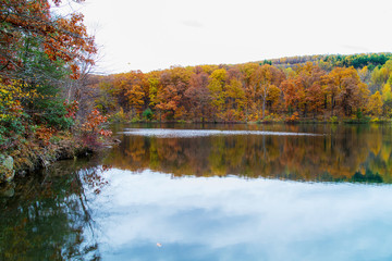 Fall Colors Reflecting On Surface Lake. Saturated Autumn Leaves Yellows, Oranges And Reds