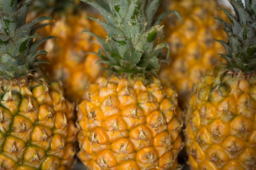 Pineapple background