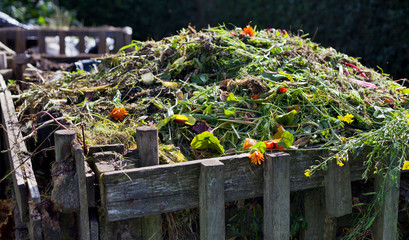 Organic compost with green waste  -  process which makes natural ferteliser from food and garden...