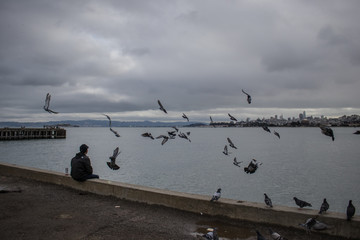 Fisherman and flock of birds