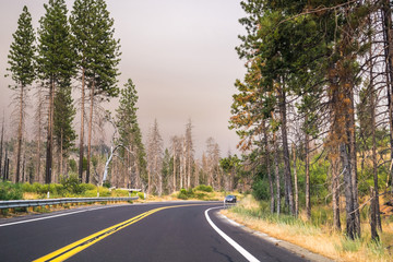 Fototapeta na wymiar Driving through Yosemite National Park; filtered light due to the smoke coming from Ferguson Fire covering the sky, California