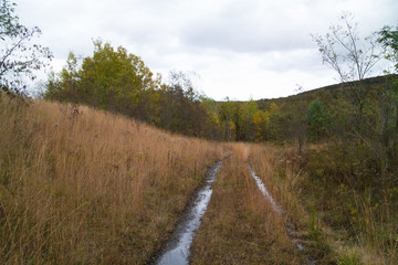 Colorful, Cold And Cloudy Pennsylvania Mountain Autumn Scene