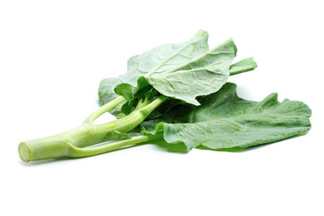 Chinese kale vegetable on white background