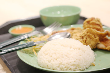 rice with chicken fried