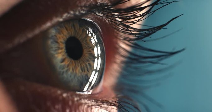 close up macro blue eye blinking looking curious light reflecting on iris