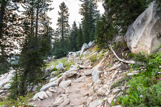 Rocky hiking trail in Yosemite National Park, Sierra Nevada Mountains, California