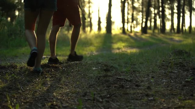 Nature lovers walking in comfortable sport shoes in woods, camping equipment
