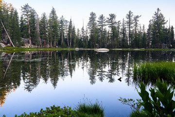 Fototapeta na wymiar Morning view of a lake, with perfect reflection of trees in the still water surface, Yosemite National Park, Sierra Nevada mountains, California