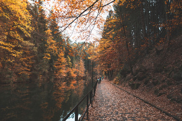 Amselsee - Nationalpark Sächsische Schweiz