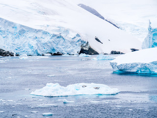Crabeater seals resting on ice floe in Lemaire Channel, Antarctic Peninsula, Antarctica © TasfotoNL