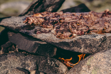 Greenland adventure travel