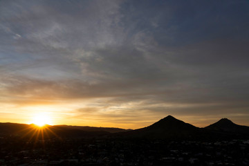 Yellow Wonder, San Luis Obispo, CA