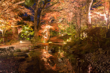 福岡の紅葉の名所　竈門神社