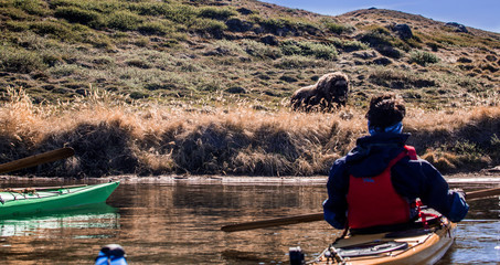 Greenland adventure travel